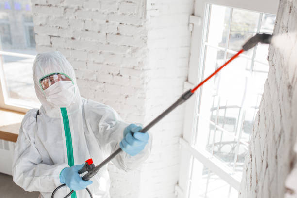 Best Indoor Air Quality Assessment  in Swainsboro, GA