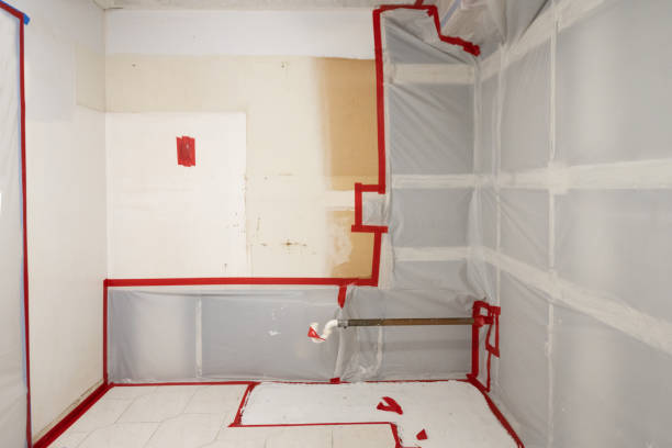 Best Dehumidification Services  in Swainsboro, GA