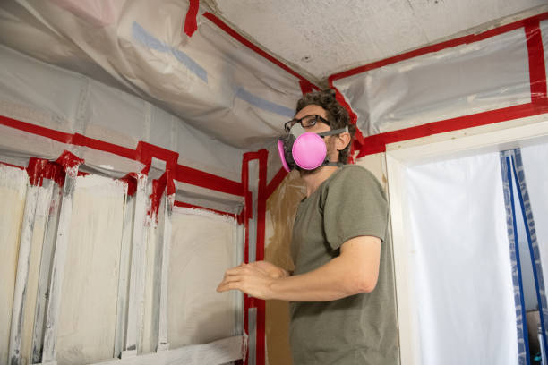 Best Residential Mold Inspection & Testing  in Swainsboro, GA