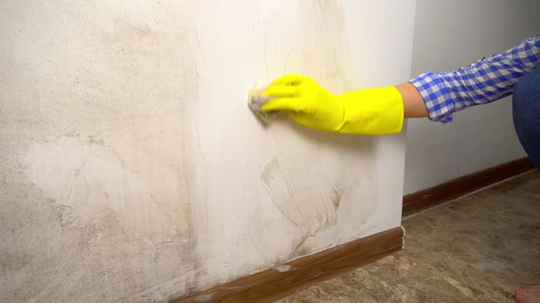 Mold Remediation for Rental Properties in Swainsboro, GA