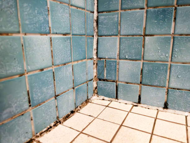 Best Biohazard Mold Removal  in Swainsboro, GA