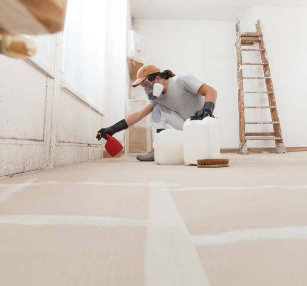 Best Mold-Related Health Consultation  in Swainsboro, GA
