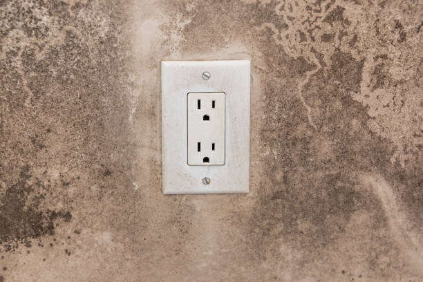 Best Emergency Mold Remediation  in Swainsboro, GA