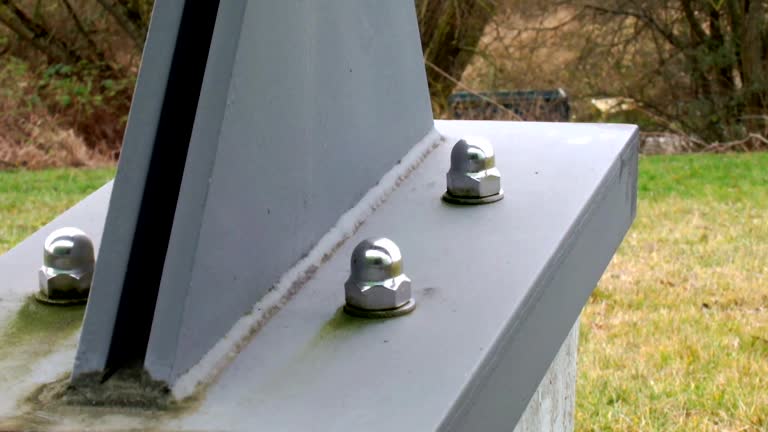 Best Forensic Mold Investigation  in Swainsboro, GA